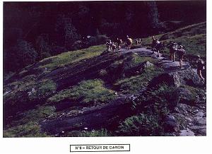 05 LYCEE LAMORICIERE 1960 AUX CABANNES zb0009